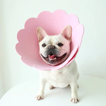 Sunflower Anti-Licking Pet Protection Collar Cover