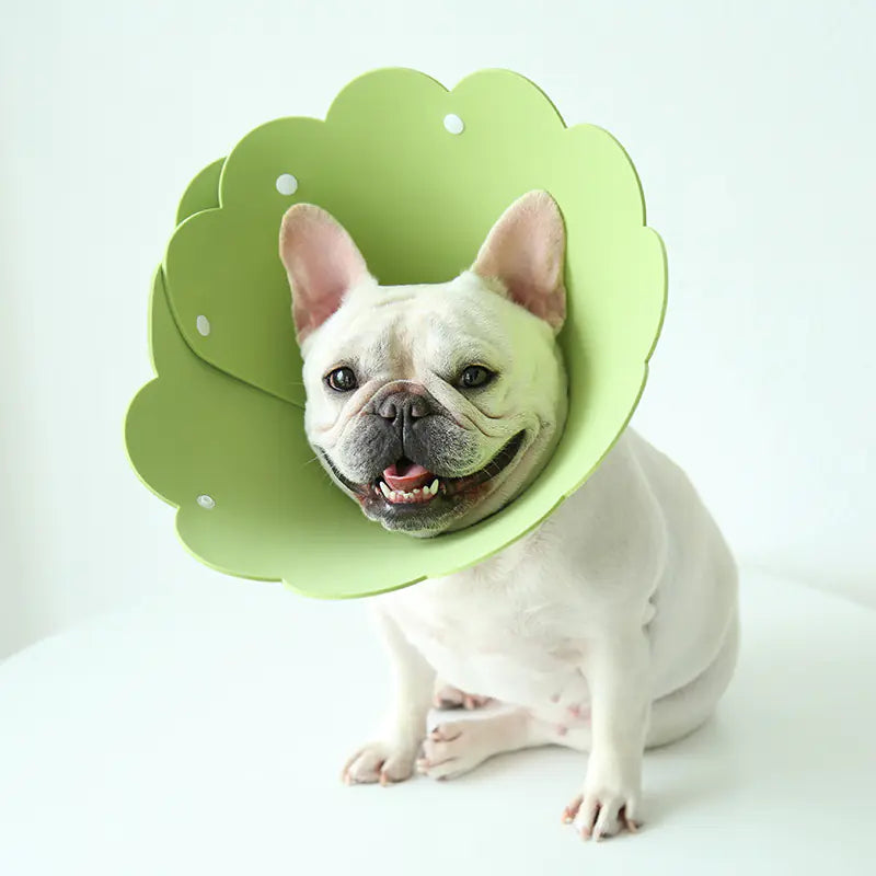 Sunflower Anti-Licking Pet Protection Collar Cover