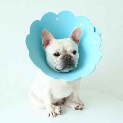 Sunflower Anti-Licking Pet Protection Collar Cover
